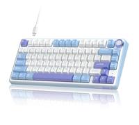 RK ROYAL KLUDGE BIIOONES Tastiera PC con Filo per Computer/Laptop/Notebook -226