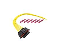 RK-TRONIC B0021 Cappuccio / Spina