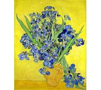 RKFLGEW 14CT Kit Punto Croce Prestampato 《Iris》 Kit Punto Croce Stampato Kit Di Ricamo Pittura A Olio Per Principianti Adulti Fai Da Te Punto Croce Kit Mezzopunto 40x50cm
