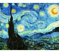 RKFLGEW 14CT Kit Ricamo 《Notte Stellata》 Set Punto Croce Pittura A Olio Fantasy Kit Ad Ago Contati Kit Da Ricamo Arti E Mestieri Per La Decorazione Domestica 40x50cm