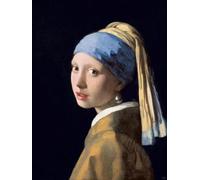 RKFLGEW 14CT Kit Ricamo 《Ragazza Con L'Orecchino Di Perla》 Set Punto Croce Figura Kit Di Ricamo Per Pittura A Olio Per Principianti Kit Punto Croce Fai Da Te Per Adulti Kit Ad Ago 30x40cm