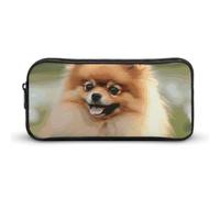 Rkklvbns Astuccio grande con cane Pomerania, astuccio portatile con cerniera, organizer per cancelleria, semplice da riporre, per ufficio, università, uso adulto