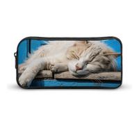 Rkklvbns Astuccio grande con gatto che dorme, astuccio portatile con cerniera, organizer per cancelleria, semplice da riporre, per ufficio, università, uso adulto