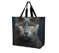Rkklvbns Borsa a tracolla da donna con gatto grigio con stelle di gatto, portatile, leggera, resistente, per lavoro, viaggi, casual