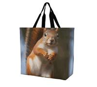 Rkklvbns Borsa a tracolla da donna con scoiattolo divertente, borsa per la spesa, portatile, leggera, resistente, per lavoro, viaggi, casual