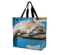 Rkklvbns Borsa tote da donna con gatto che dorme, borsa a tracolla per generi alimentari, borsa portatile leggera e resistente, per lavoro, viaggi, borsa casual