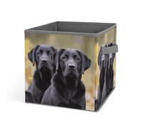 Rkklvbns Cestino portaoggetti per cani Labrador Retriever, cestino portaoggetti pieghevole con manici, grande organizer per vestiti in tessuto per organizzare libri, coperte, giocattoli