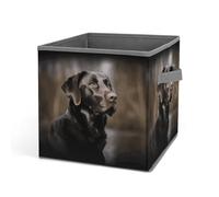 Rkklvbns Cestino portaoggetti pieghevole con manici, con motivo labrador retriever, grande organizer per vestiti, in tessuto, per organizzare libri, coperte, giocattoli