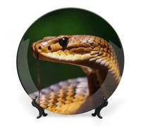 Rkklvbns Cobra Snake Piatti decorativi 25,4 cm Piatti piani in ceramica Bone China Piatto decorativo con espositore Piatti da dessert per casa ufficio decorazione da parete