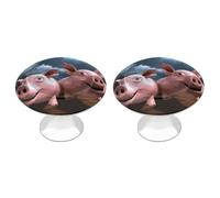 Rkklvbns Confezione da 2 divertenti pomelli rotondi per armadietti con maialini 3D, moderni, per cassettiera, cassetti, per cucina, camera da letto, cassetti del bagno
