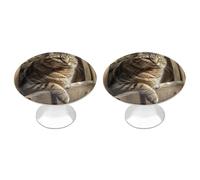 Rkklvbns Confezione da 2 pomelli moderni a forma di gatto su staccionata in legno, per cassetti e cassettiere, per cucina, camera da letto, cassetti del bagno