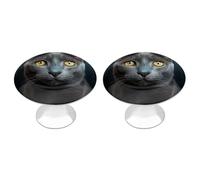 Rkklvbns Confezione da 2 pomelli moderni per cassetti e comò con stelle di gatto grigio, in tinta unita, rotondi, per cucina, camera da letto, cassetti del bagno