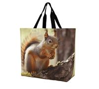 Rkklvbns Divertente borsa a tracolla da donna, con scoiattolo, portatile, leggera, resistente, per lavoro, viaggi, stile casual