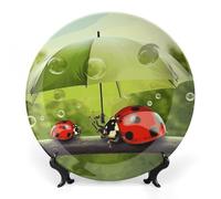 Rkklvbns Divertente coccinella che tiene ombrelli piatti decorativi da 15,2 cm in ceramica Bone China Piatto decorativo con espositore Piatti da dessert per casa ufficio decorazione da parete