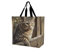 Rkklvbns Gatto su recinto di legno da donna Tote Bag Spalla Borsa della spesa Borsa Portatile Borsa di Stoccaggio Leggero Durevole per Lavoro Viaggi Casual Bag