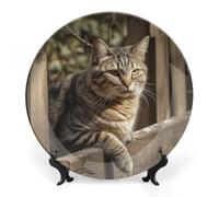 Rkklvbns Gatto su recinzione in legno piatti decorativi 17,8 cm piatti piani in ceramica Bone China Piatto decorativo con espositore Piatti da dessert per casa ufficio decorazione da parete