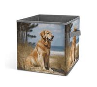 Rkklvbns Golden Retriever, cestino portaoggetti pieghevole con manici, grande organizer per vestiti in tessuto, per organizzare libri, coperte, giocattoli