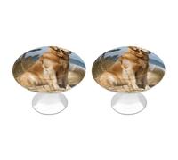 Rkklvbns Golden Retriever - Confezione da 2 pomelli moderni per cassetti e cassettiere, rotondi, per cucina, camera da letto, cassetti del bagno