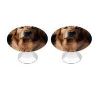Rkklvbns Golden Retriever - Confezione da 2 pomelli moderni per cassetti e cassettiere, rotondi, per cucina, camera da letto, cassetti del bagno