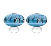 Rkklvbns Penguins On The Iceberg, confezione da 2 pomelli moderni per cassetti e cassettiere, rotondi, per cucina, camera da letto, cassetti del bagno