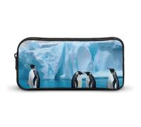 Rkklvbns Penguins On The Iceberg, grande astuccio portatile con cerniera, organizer per cancelleria, semplice da riporre, per ufficio, università, uso adulto