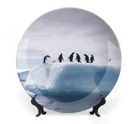 Rkklvbns Penguins on the Iceberg Piatti decorativi da 20,3 cm in ceramica Bone China Piatto decorativo con espositore Piatti da dessert per casa ufficio decorazione da parete