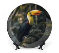 Rkklvbns Piatti decorativi colorati Tucano 6 "Piatti piani in ceramica Bone China Piatto decorativo con espositore Piatti da dessert per casa ufficio decorazione da parete