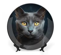Rkklvbns Piatti decorativi in ceramica da 25,4 cm con gatto grigio, piatti decorativi in porcellana Bone China con espositore, piatti da dessert per casa e ufficio, decorazione da parete