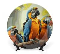 Rkklvbns Piatto decorativo in porcellana con pappagalli carini in porcellana con espositore da parete, decorazione per la casa per ufficio hotel da 25,4 cm