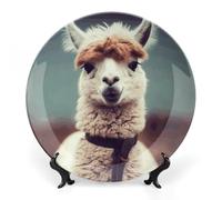 Rkklvbns Simpatici piatti decorativi in alpaca da 15,2 cm, piatti piani in ceramica Bone China Piatto decorativo con espositore Piatti da dessert per casa ufficio decorazione da parete
