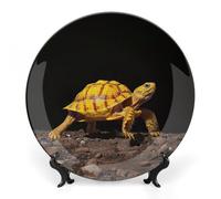 Rkklvbns Turtle Ground Walking Piatti decorativi da 25,4 cm in ceramica Bone China Piatto decorativo con espositore Piatti da dessert per casa ufficio decorazione da parete