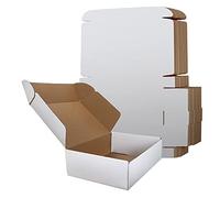 RLAVBL Scatola Cartone, per Spedizione, Piatte per Imballaggio 30.5 cm x22.9 cm x 7.6cm Set da 20,Bianca