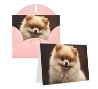 RLDOBOFE Biglietti di auguri con buste, biglietti vuoti piegati a metà biglietti di compleanno, biglietti di ringraziamento, carini biglietti di auguri con cane Pomerania, per laurea, vacanze, inviti