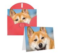 RLDOBOFE Biglietto di auguri con buste, biglietto vuoto con cane sorridente, biglietti di auguri 20,3 x 15,2 cm, biglietti di ringraziamento per tutte le occasioni