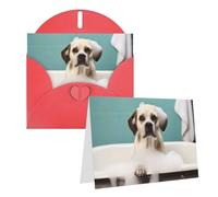 RLDOBOFE Biglietto di auguri con buste, biglietto vuoto per bagno e cane, 20,3 x 15,2 cm, biglietti di ringraziamento per tutte le occasioni
