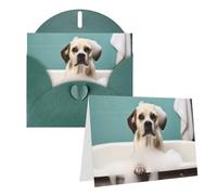 RLDOBOFE Biglietto di auguri con buste, biglietto vuoto per bagno e cane, 20,3 x 15,2 cm, biglietti di ringraziamento per tutte le occasioni