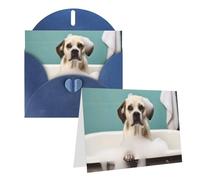 RLDOBOFE Biglietto di auguri con buste, biglietto vuoto per bagno e cane, 20,3 x 15,2 cm, biglietti di ringraziamento per tutte le occasioni