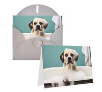 RLDOBOFE Biglietto di auguri con buste, biglietto vuoto per bagno e cane, 20,3 x 15,2 cm, biglietti di ringraziamento per tutte le occasioni