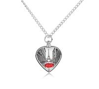 RLDOBOFE Collana per ceneri di animali domestici, Torre Eiffel Parigi, ombrello rosso, regalo commemorativo per cani/gatti, gioiello ricordo a forma di cuore, collane per cani, gatti, amanti donne e