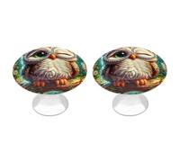 RLDOBOFE Confezione da 2 pomelli rotondi a forma di gufo giocoso che indossa occhiali, per cassetti, cassettiere, credenze, porte, accessori per mobili da cucina e bagno