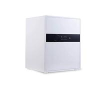 RLKHXBS Cabinet s Digital Home Smart Small Anti-Theft Bed Fingerprint all Steel Office Wardrobe Digital And Lock TY for Home
