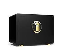 RLKHXBS Cabinet s Home s Home 35x25x25 cm with 3 Double Steel Bolts with Fingerprint TY Cabinet 2 Emergency Priority Buttons for Valuables And Documents Black