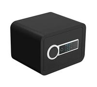 RLKHXBS, Casa Impermeabile a Prova di Incendio Piccola Impronta Digitale per Impronta Digitale Modside in Acciaio a Parete antifurto di deposito Cloakroom Inspostazione Invisibile Installazione