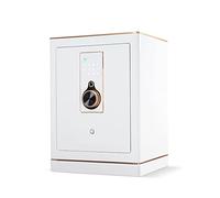 RLKHXBS, Fireproof Waterproof Anti-Theft Digital Security, Smart Fingerprint Password s, Hidden Bedside Table Lock for Home Office Cash Use (Color : White) (Whit (White