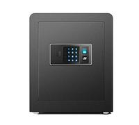 RLKHXBS, Fireproof Waterproof Cabinet s Can Be Built Into The Wall Home Security Fingerprint Password Unlocking Office Cosmetic Jewelry Cabinet for Home Office Cash Use (B (A)