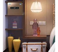 RLKHXBS, Fireproof Waterproof s And Lock es, Money Electronic Home with Medium all Steel Household 27cm Office Fingerprint Bedside Table for Home Office Cash Use (B (Bro