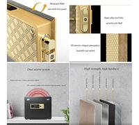 RLKHXBS, Fireproof Waterproof s And Lock es, Money Fingerprint Home Office Document Electronic Lock Security Steel Business Small Money for Home Office Cash Use (B (Blac