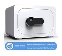 RLKHXBS, Impronta Digitale per depositi Impermeabili, Medium per la Sicurezza Domestica con codice Override di Emergenza o Pavimento Montato per Il documento di Denaro per i Gioielli per (Whit