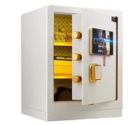 RLKHXBS Password di Impronte digitali a casa antincendio - Allarme elettronico 39x33x50 cm con 5 bulloni in Acciaio Doppio, Impronta Digitale sbloccata, mobili per Hotel, Ufficio e casa