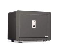 RLKHXBS s Office Folder all Steel Anti Theft Home Small Smart Fingerprint Cloakroom Fixed in Wall Deposit Home Improvement (Color : Black Size : 3828.531.8cm)